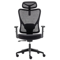 High-Back Computer Chair with Lumbar Support