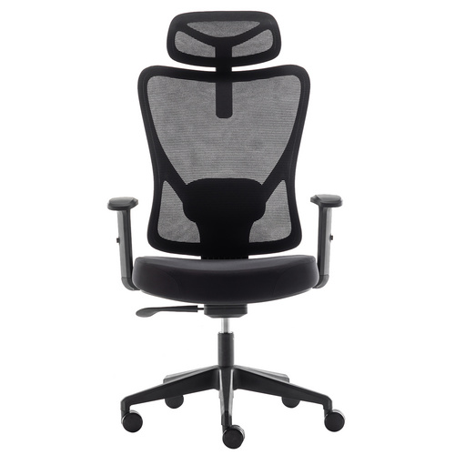 High-Back Computer Chair with Lumbar Support