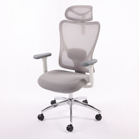 Grey Mesh Computer Chair,Home Office Desk Chair with Adjustable Headrest,Lumbar Support,3D Armrest,Tilt Function