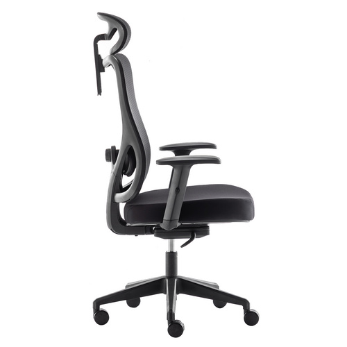 High-Back Computer Chair with Lumbar Support
