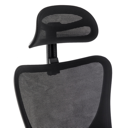 High-Back Computer Chair with Lumbar Support