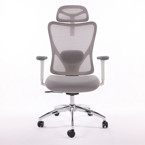 Grey Mesh Computer Chair,Home Office Desk Chair with Adjustable Headrest,Lumbar Support,3D Armrest,Tilt Function