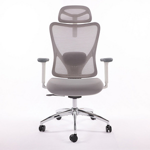 Grey Mesh Computer Chair,Home Office Desk Chair with Adjustable Headrest,Lumbar Support,3D Armrest,Tilt Function