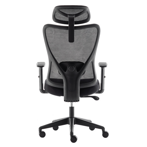 High-Back Computer Chair with Lumbar Support