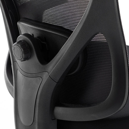 High-Back Computer Chair with Lumbar Support