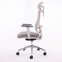 Grey Mesh Computer Chair,Home Office Desk Chair with Adjustable Headrest,Lumbar Support,3D Armrest,Tilt Function