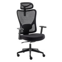 High-Back Computer Chair with Lumbar Support