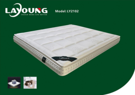床垫LY2102