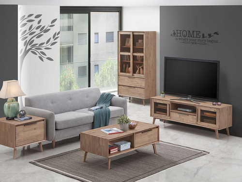 客厅组合FCVN203 living room