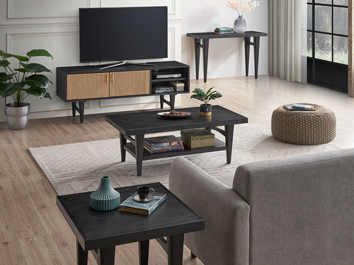 客厅组合Morgan living room