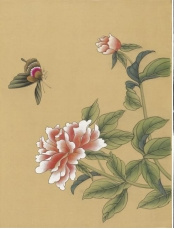 蝶戏花国画