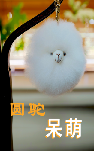 INJOI澳大利亚圆驼挂件