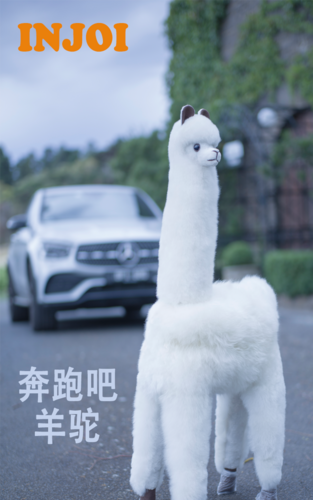 INJOI澳大利亚奔跑吧羊驼