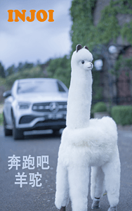 INJOI澳大利亚奔跑吧羊驼
