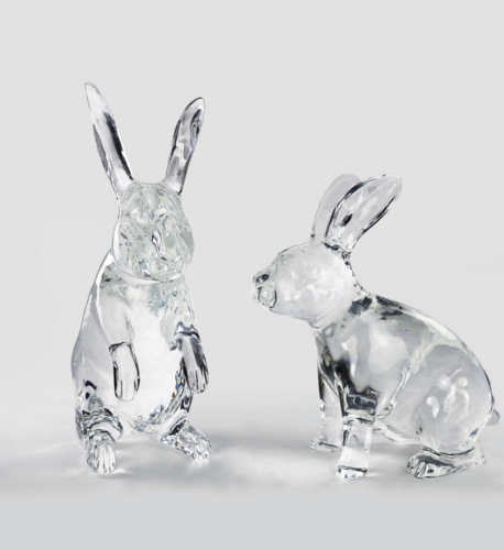 Standing Rabbit/Squatting Rabbit