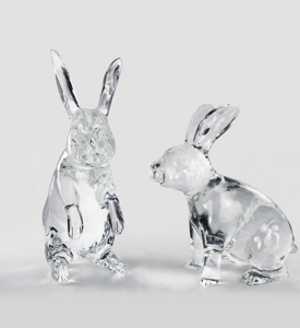 Standing Rabbit/Squatting Rabbit