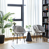leisure dining chair