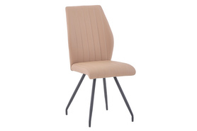 Dining Chair PL7033