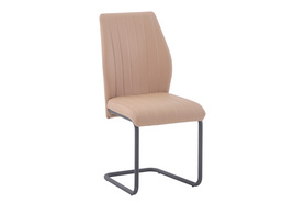 Dining Chair PL7032