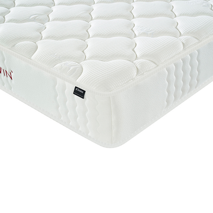 Hybrid Mattress Foam Pocket Spring Roll Up Mattress in Box