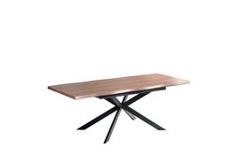 Extension Dining Table PL1050