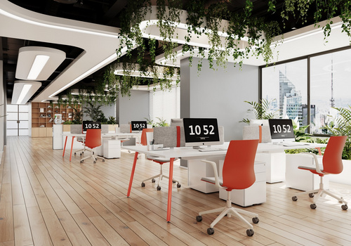 Musa Workstation