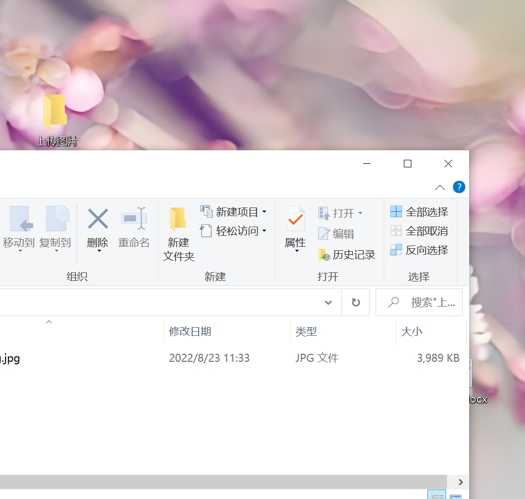 上海博华国际展览有限公司广州分公司