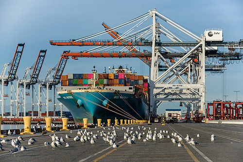 First Post-145% Tariff Chinese Cargo Ships Arrive in U.S., Sparking Warnings of Price Surges and Shortages