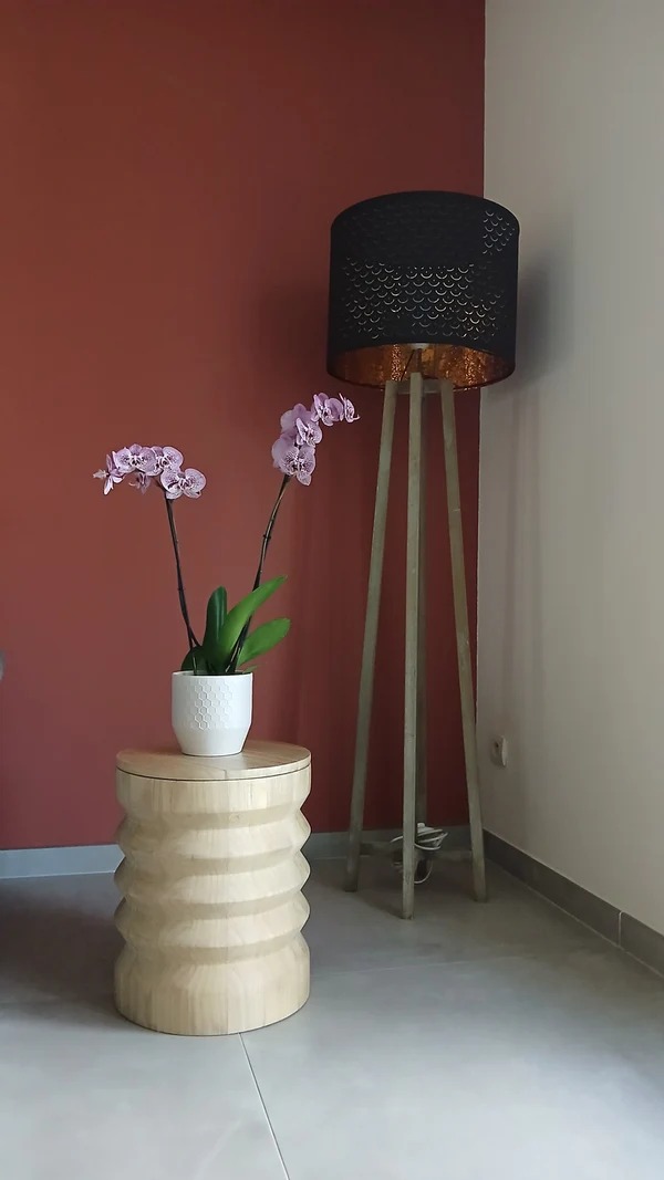 Modern Unique Carved Solid Wood Side Table Corner Table for Apartment for Living Room Sofa or Bedside Use