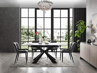 dinning table and chair set (Furniture2025)