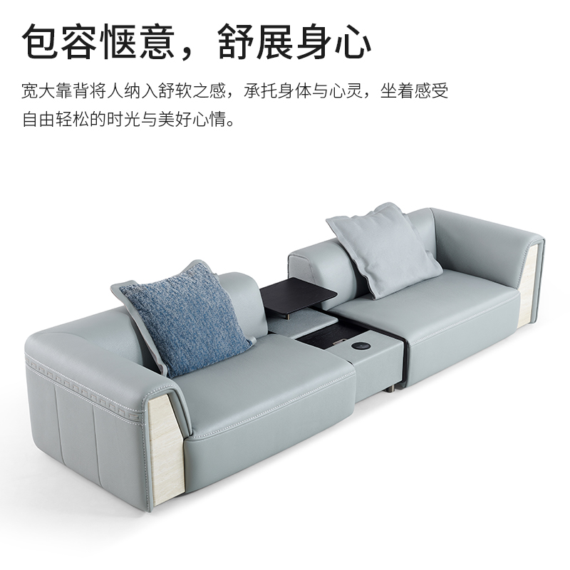 PJ-SF01 Thick Leather Sofa, Modern and Luxurious
