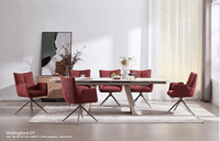 FURNITURE SET (FUR2025)