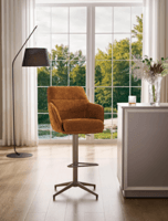 BAR CHAIR (FUR2025)
