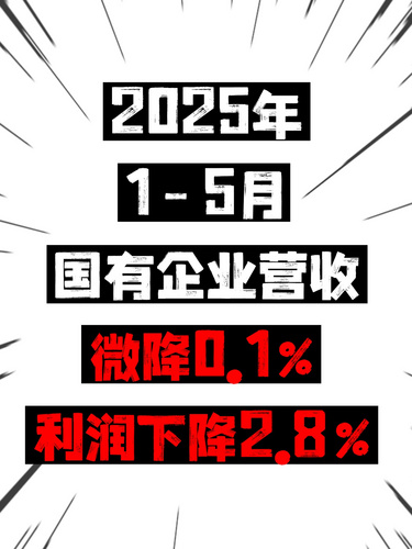 2025年1-5月国有企业营收微降0.1%，利润下降2.8%