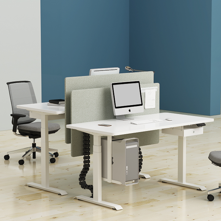 Dual Motor Electric Standing Office Desk for Ergonomic Workspaces