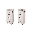 Mobile Chest of Drawers Dresser cabinet for Salon