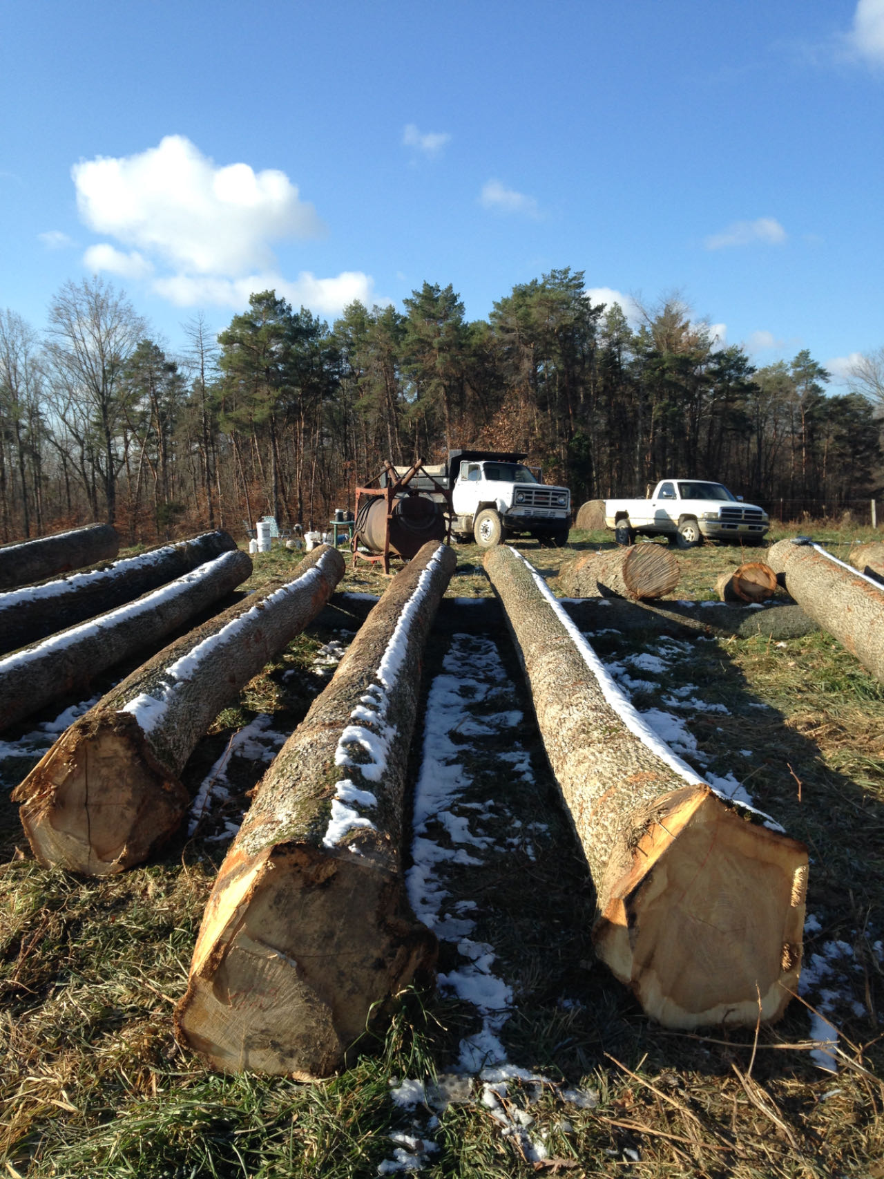 •   Black Walnut    •   White Oak    •   Red Oak    •   Cherry    •   White Ash    •   Hickory    •   Hard Maple    •   Yellow Poplar