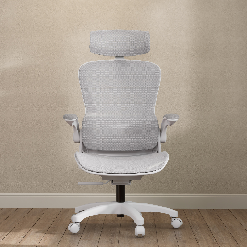 Boori Living Remy Ergonomic Mesh Chair