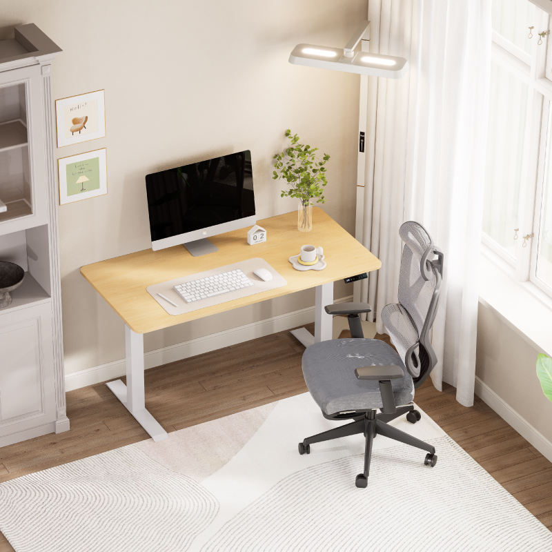 Boori Kids Leo Electric Sit & Stand Desk 1.2m