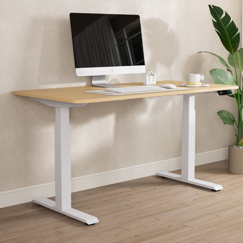 Boori Kids Leo Electric Sit & Stand Desk 1.2m