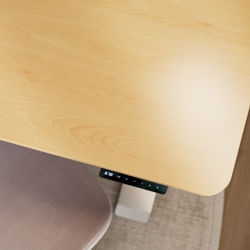 Boori Kids Leo Electric Sit & Stand Desk 1.2m