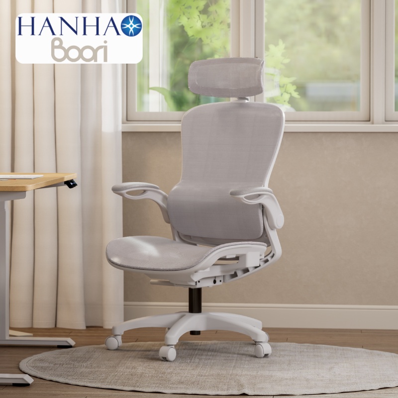 Boori Living Remy Ergonomic Mesh Chair