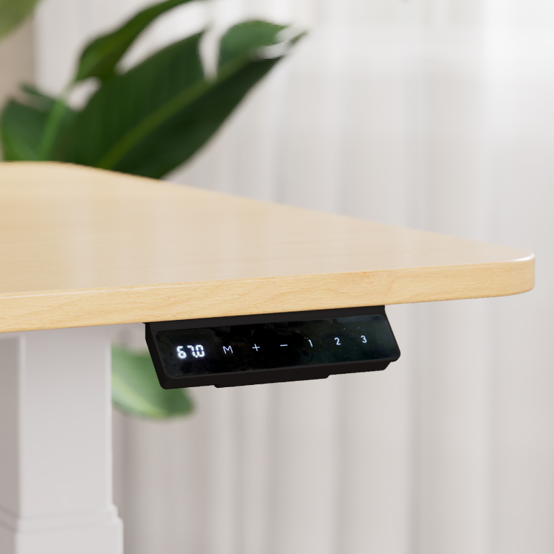 Boori Kids Leo Electric Sit & Stand Desk 1.2m