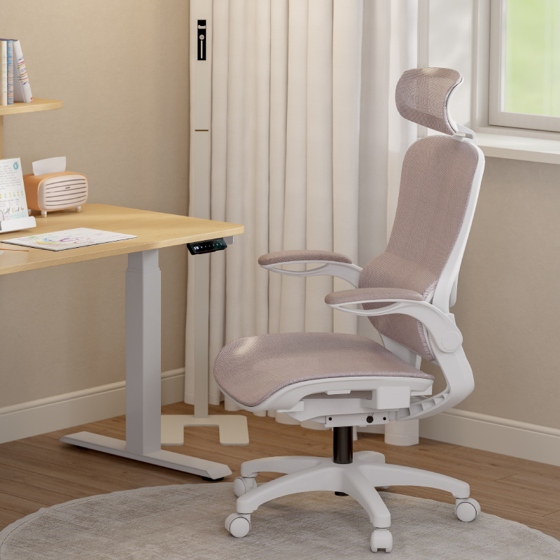 Boori Living Remy Ergonomic Mesh Chair