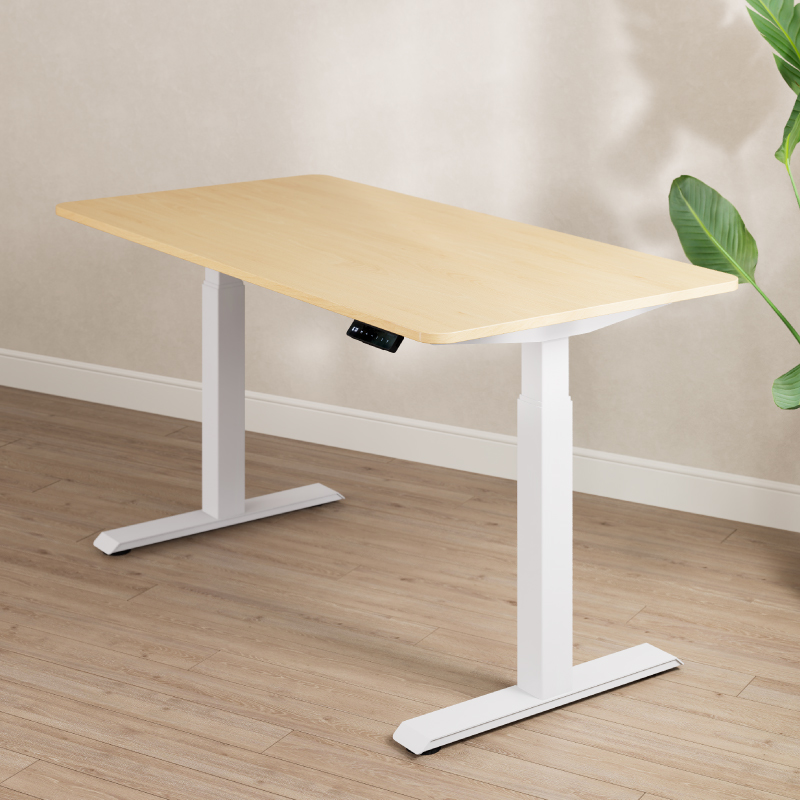 Boori Kids Leo Electric Sit & Stand Desk 1.2m