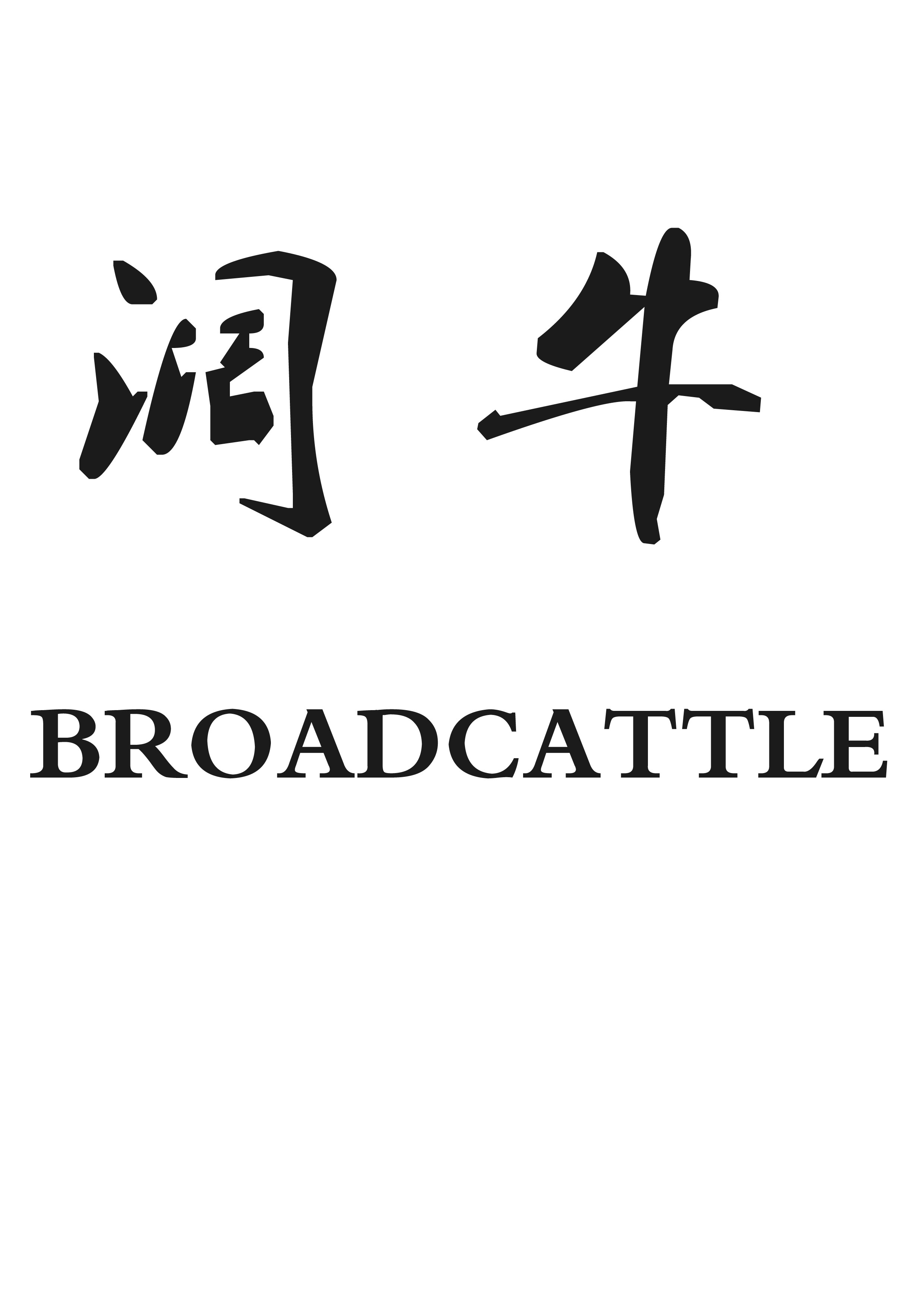 霸州市银牛家具有限公司
