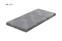 Topper - F20260319