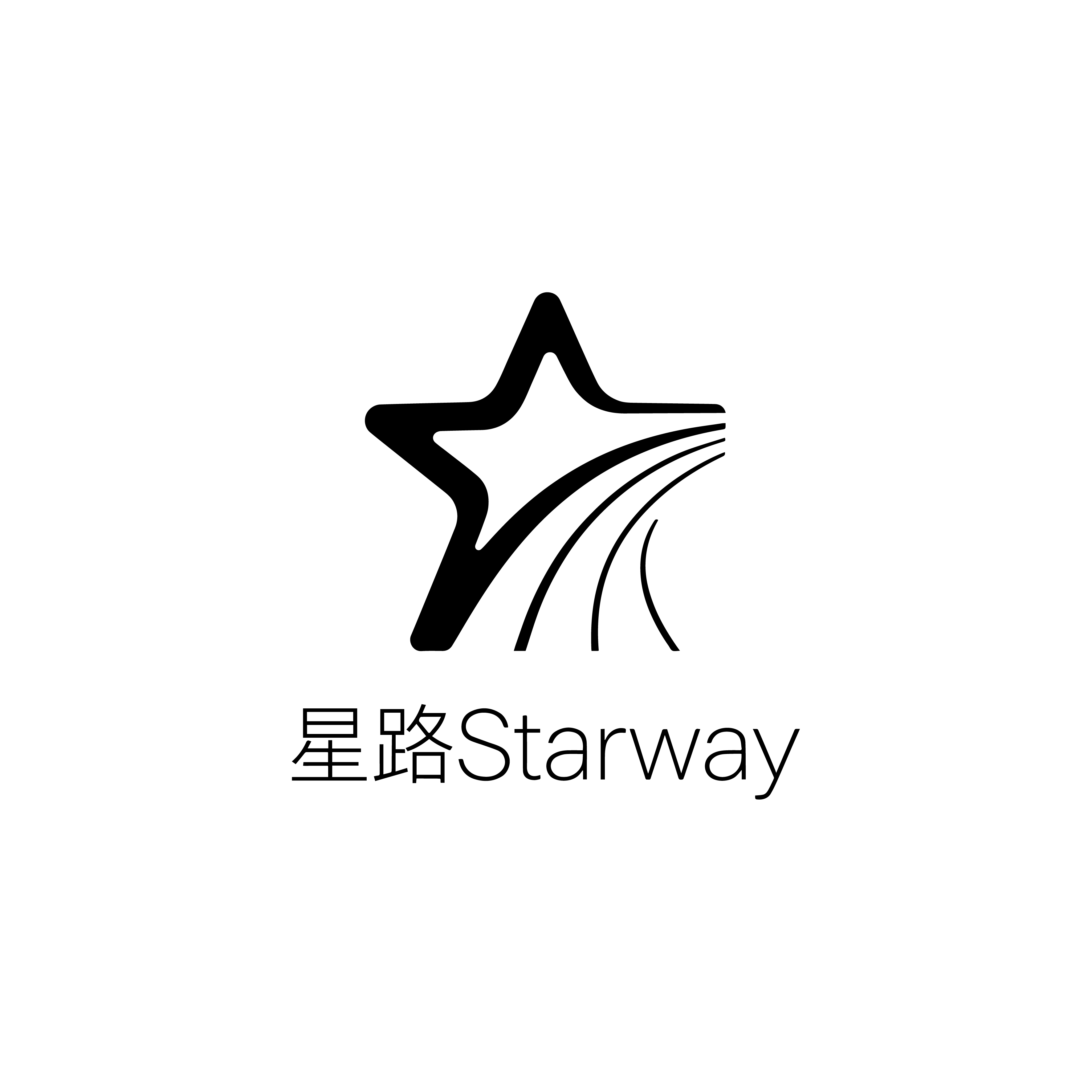 霸州市星路国际贸易有限公司