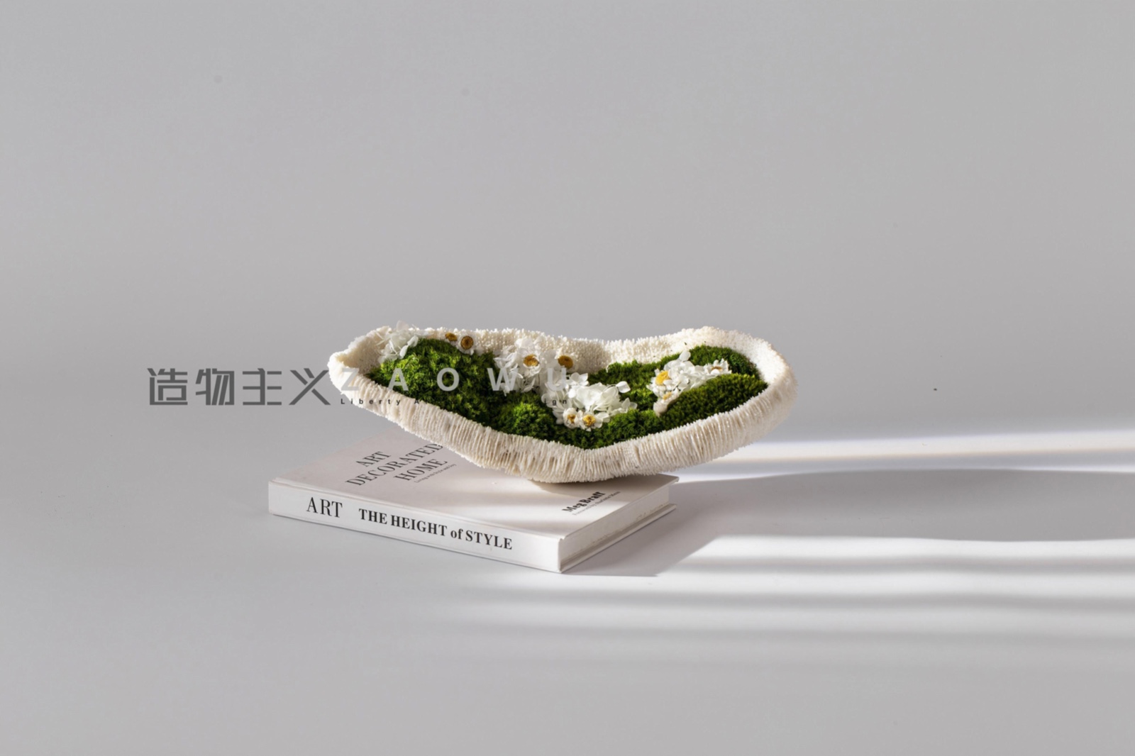 苔蘚 (5).jpg