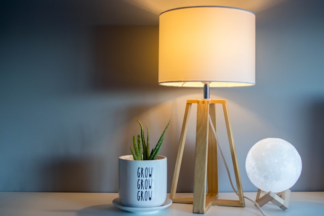A lamp with a plant on it, adding a touch of nature to the white lamp.jpg